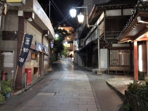 湯田中、渋温泉の立地良好な温泉旅館(値下げ）
